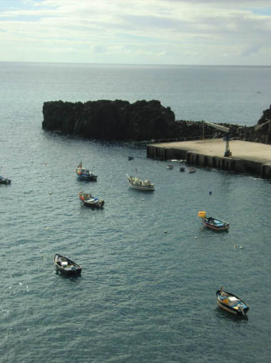 Boote vor Camara de Lobos