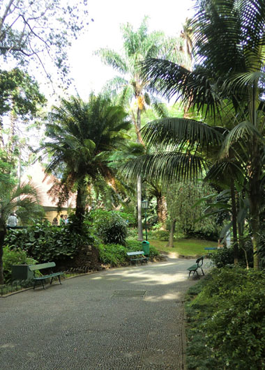 Park in Funchal