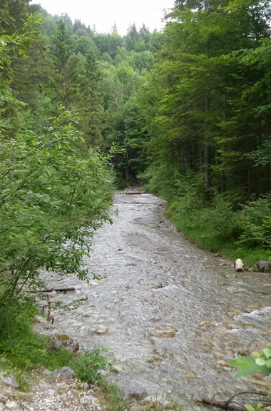 Gießenbachklamm