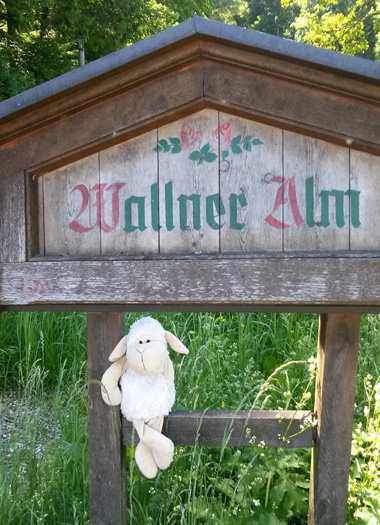 Grunther auf der Wallner Alm